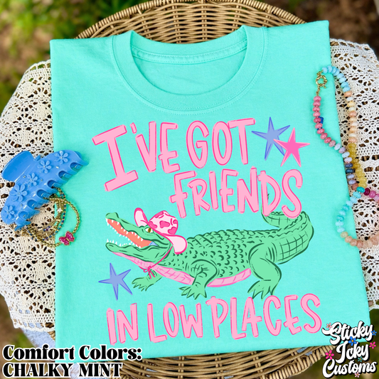 I'VE GOT FRIENDS IN LOW PLACES GATOR